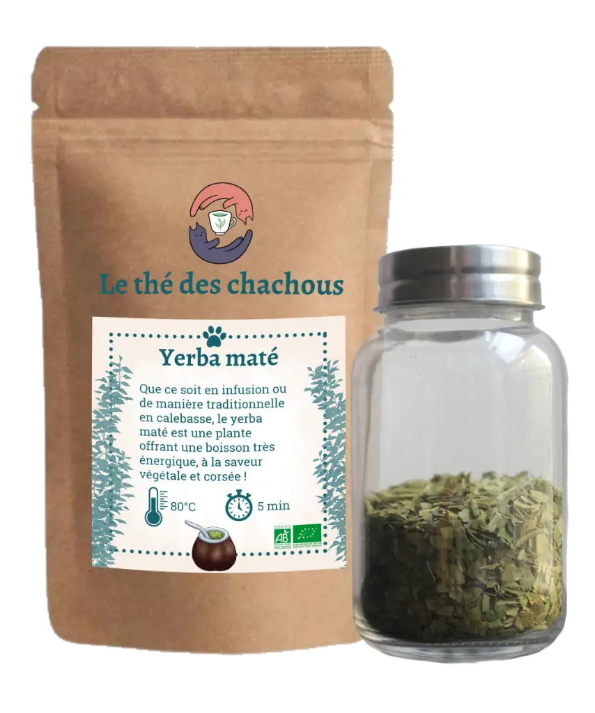 Yerba maté verde Bio (100g, Pochette)