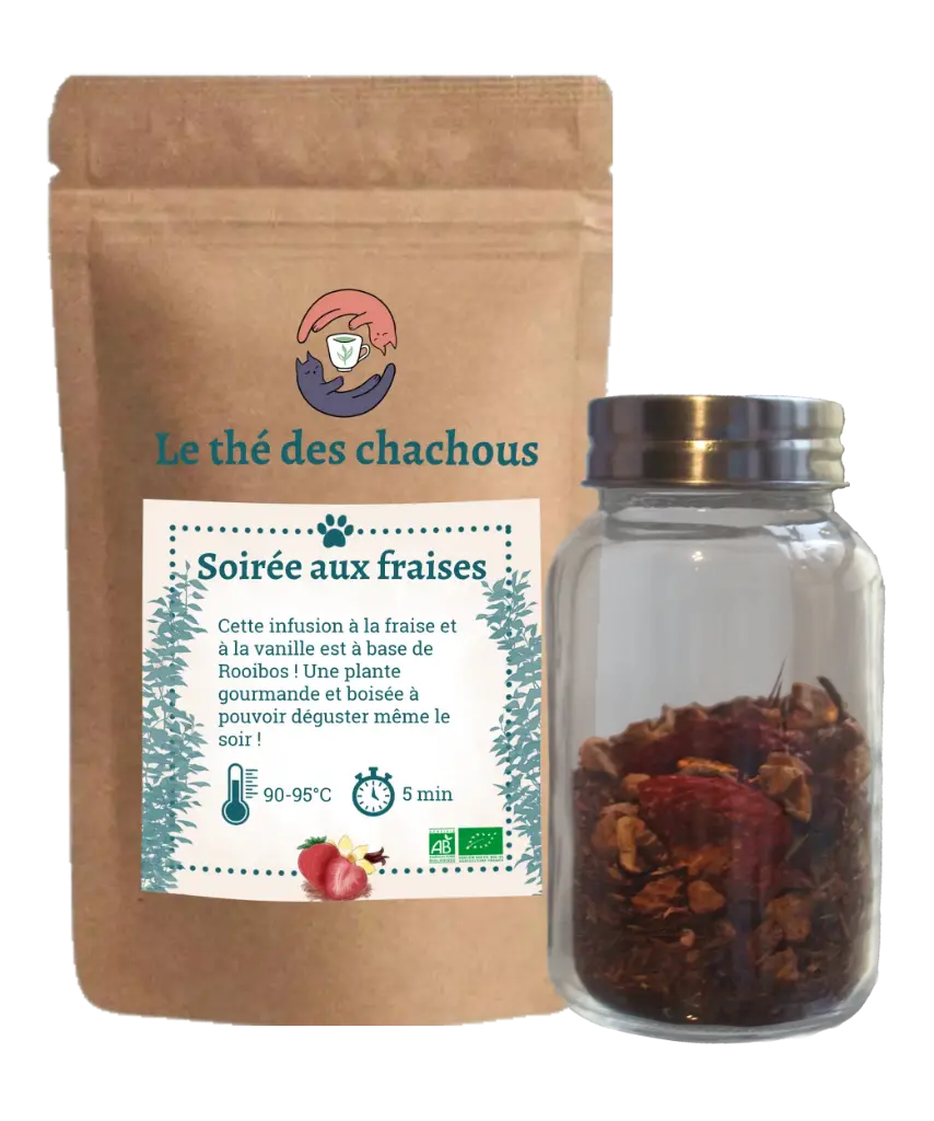 Rooibos Bio "Soirée aux fraises" (50g, Pochette)