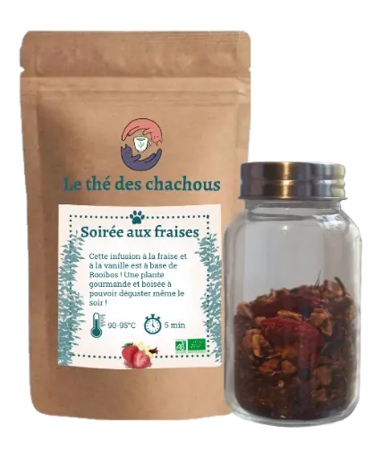 Rooibos Bio "Soirée aux fraises"